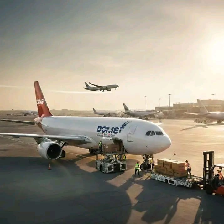 WhatsApp Image 2026-01-12 at 11.50